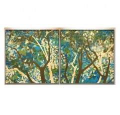 Tree Song
